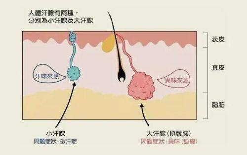 合肥韩美整形医院